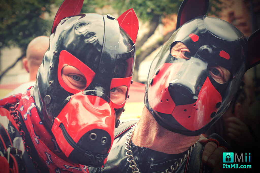 Pup Hood Fetish